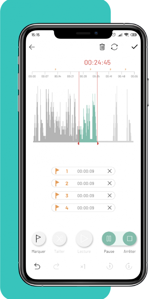 Dictaplus cloud vocal